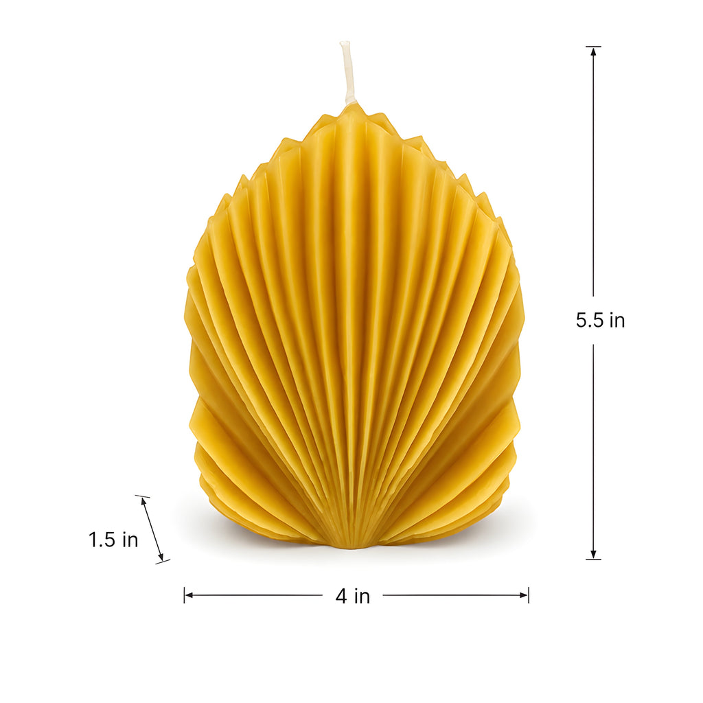 Architectural Seashell Design Beeswax Candle