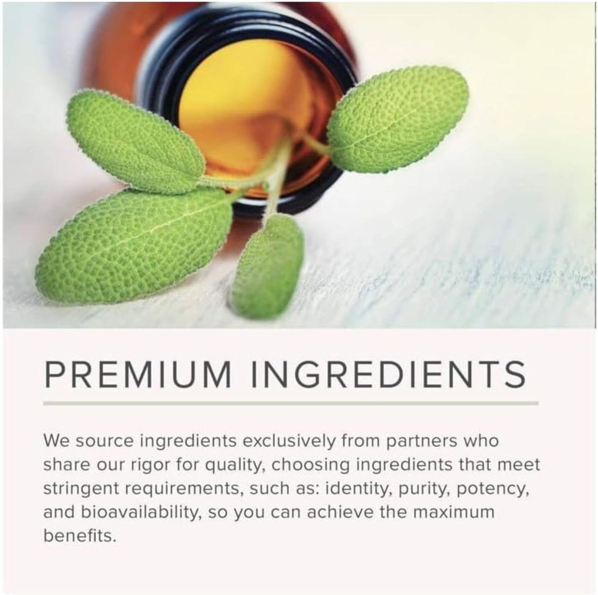 NusaPure Polypodium Nicotinamide 10:1 Extract, 240 mg per Veg Caps - 150 Count (Non-GMO, Soyfree, Bioperine)