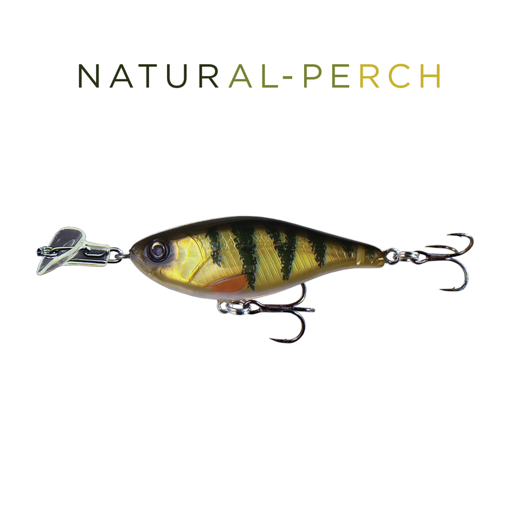Headbanger Cranky Shad 2-1/2