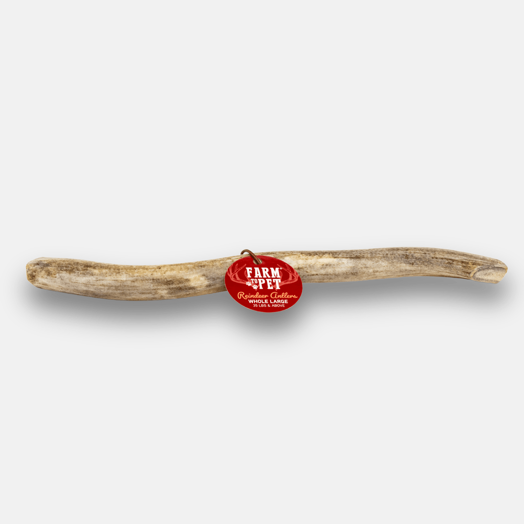 Reindeer Antler Dog Chews | Organic Chews for Dogs