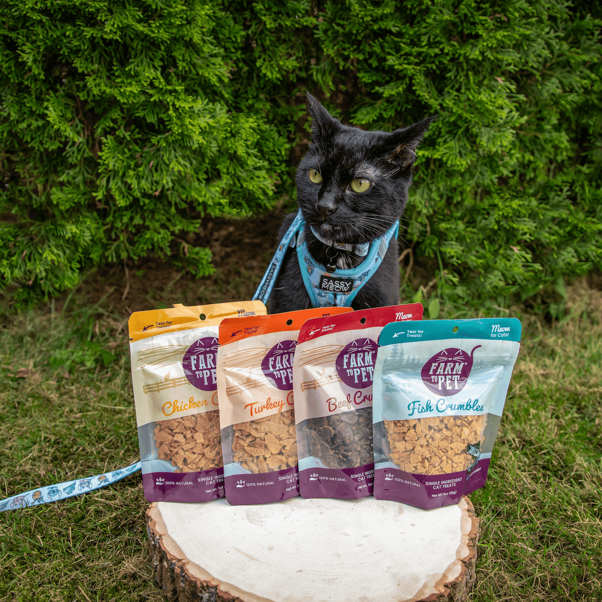 Beef Crumbles Cat Treats | High Protein Treats for Cats