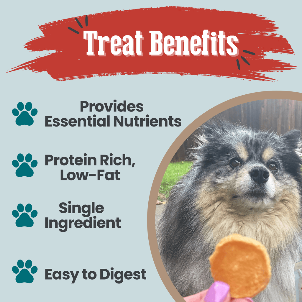 Fish Chips Snack Pack Bundles | Dog Treats for Training & Travel