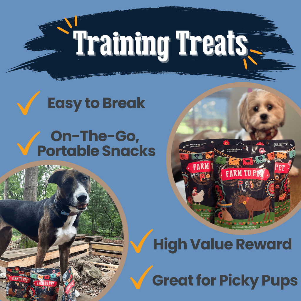 Premios Para Perros Fiesta Pack | Dog Treat Variety Bundle