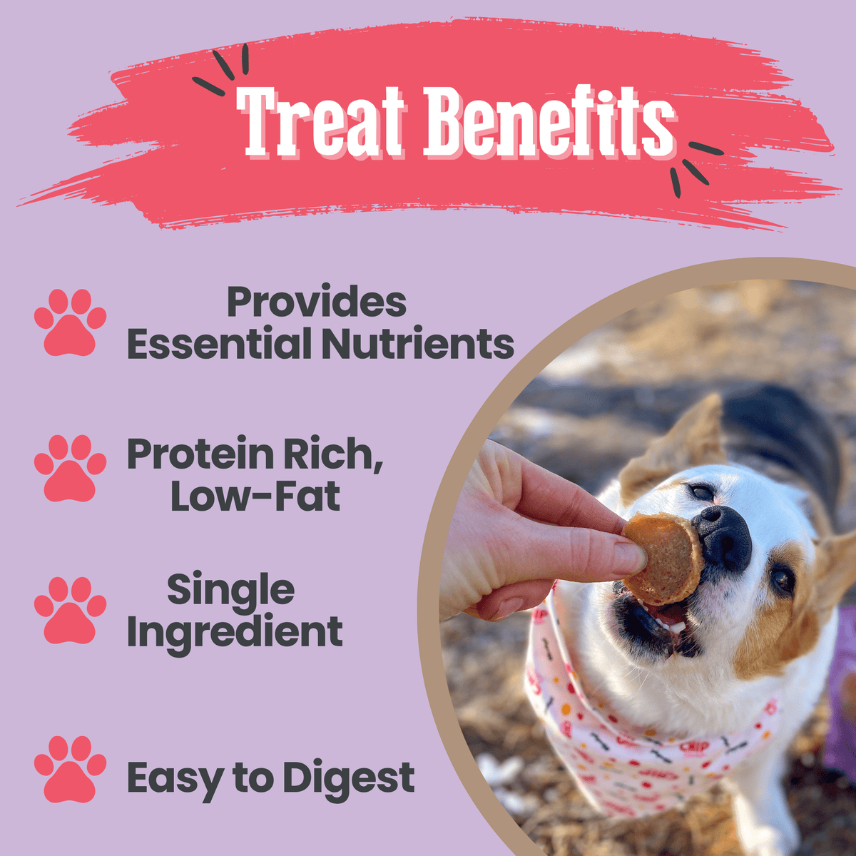 Puppy Love Dog Treat Duo | Poultry Chip Variety Pack