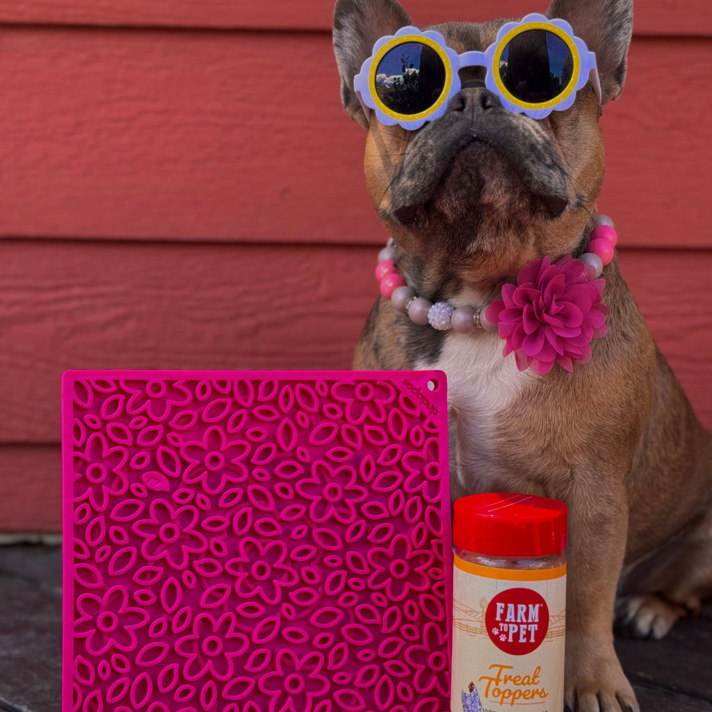 Dog Lick Mats