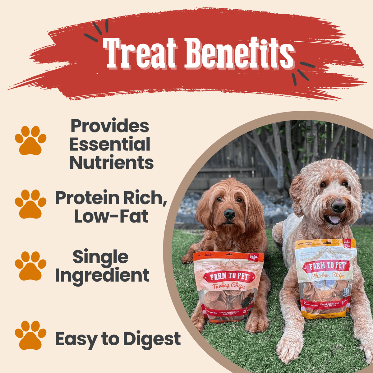 Turkey & Chicken Chip Dog Treat Duo | Single-Ingredient Poultry Treats for Dogs