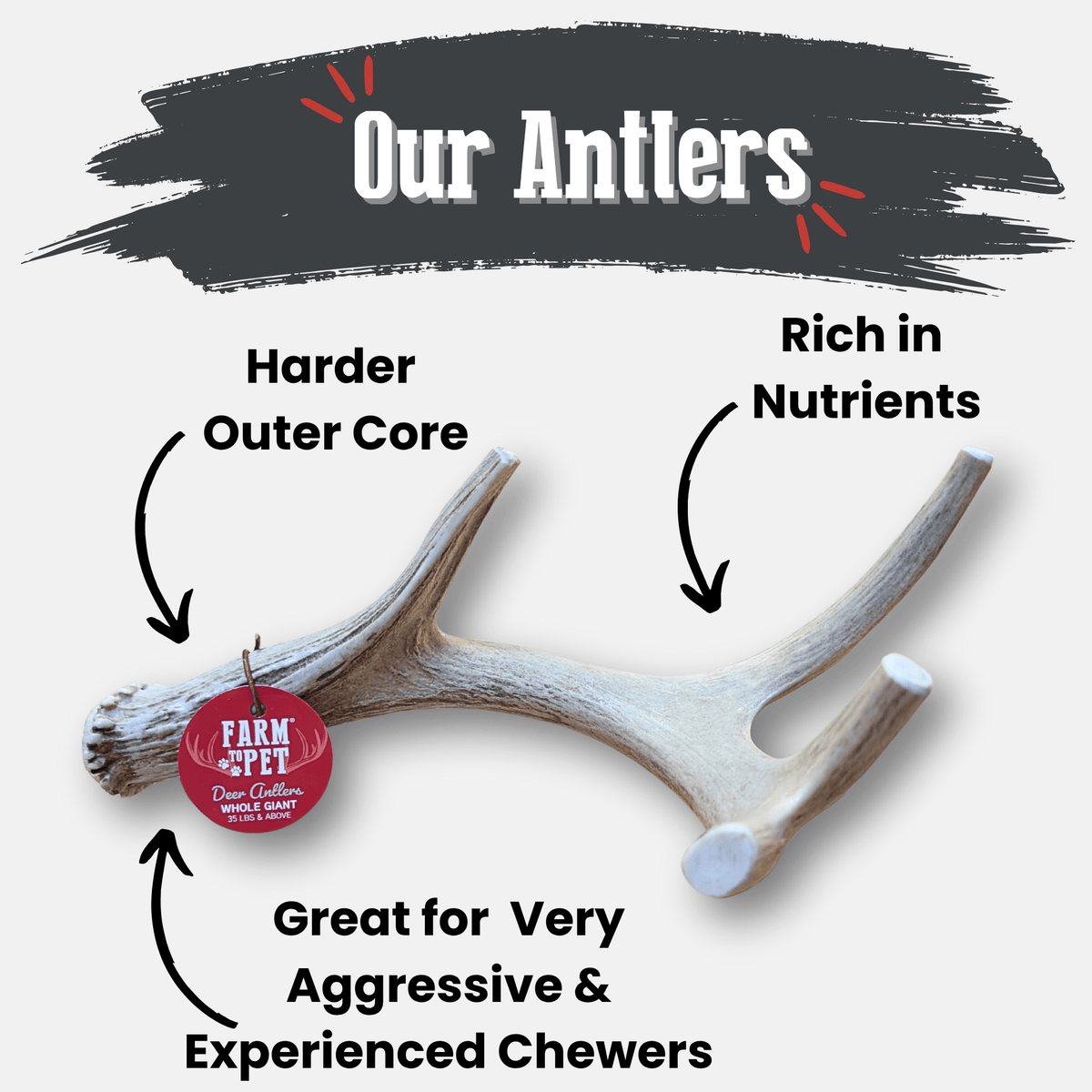 Deer Antler Dog Chews | Organic Chews for Dogs