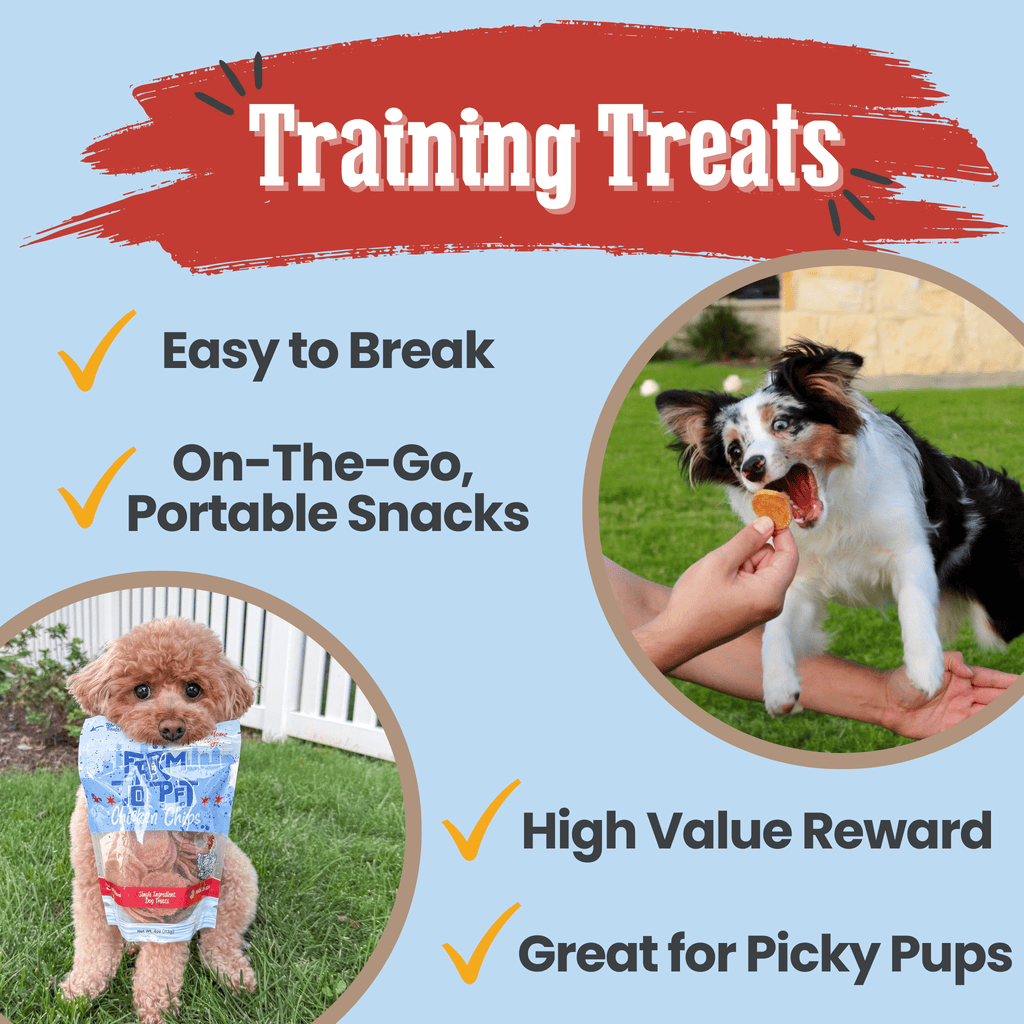 Chicago Chicken Chips for Dogs | Dog Treats To Celebrate Our Hometown
