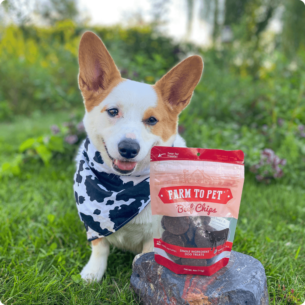 Beef Chips Dog Treats | Single-Ingredient Healthy Treats for Dogs