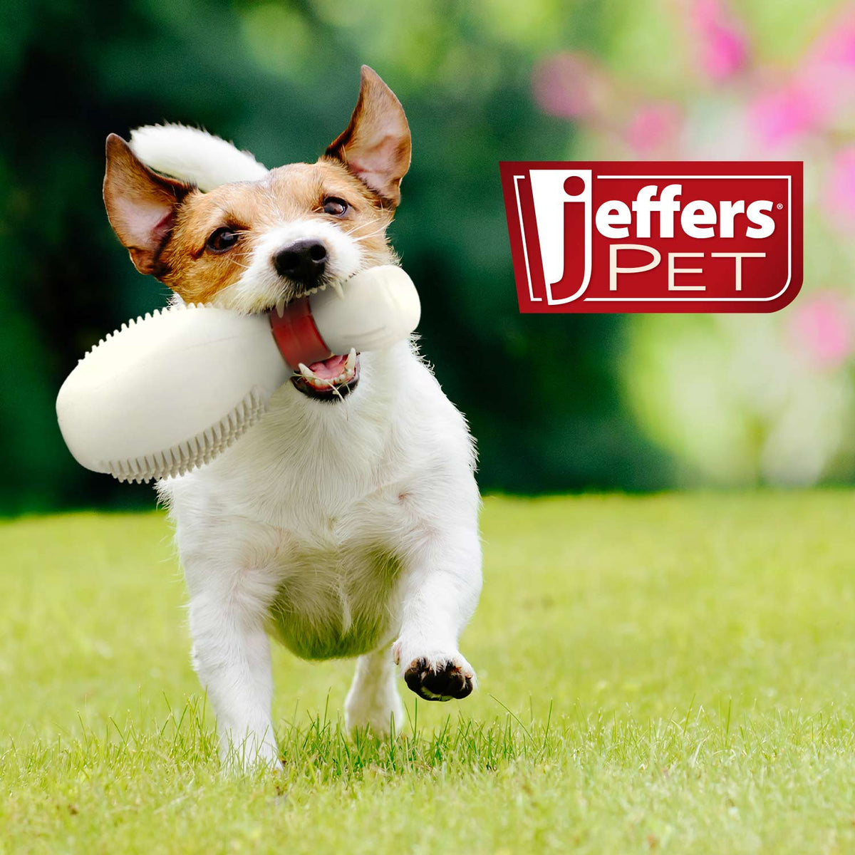 Jeffers Bowling Pin Natural Rubber Treat Dispensing Dental Chew Toy for Dogs