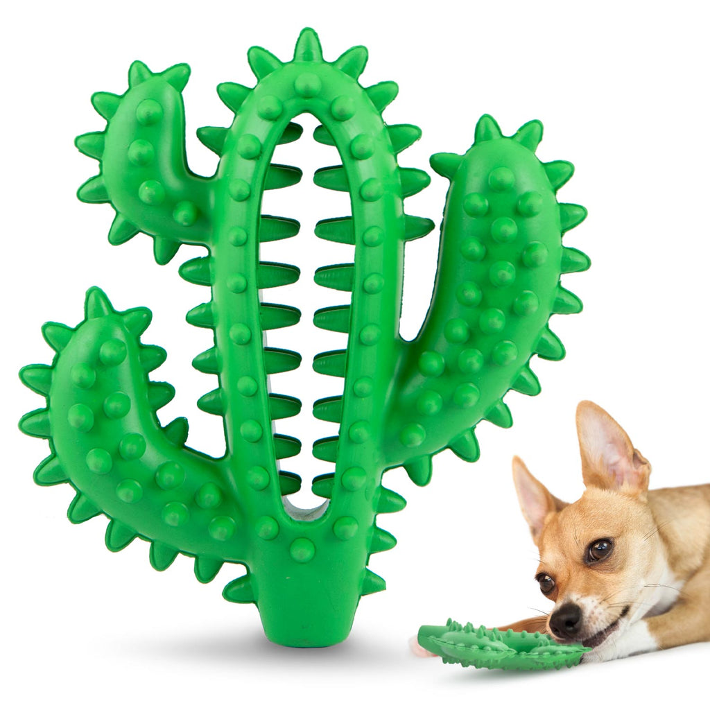 Jeffers Cactus Natural Rubber Dental Chew Toy for Dogs for Healthy Chewing Habits