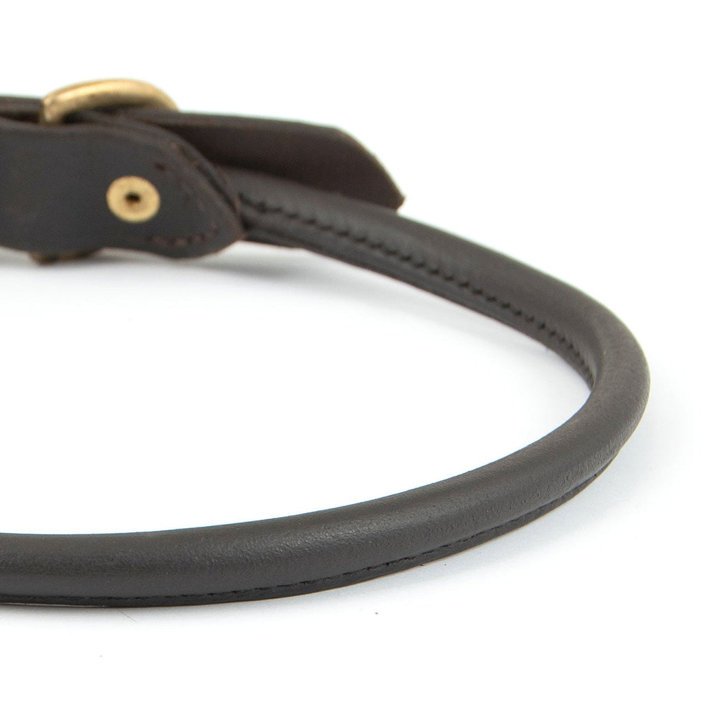 Jeffers Rolled Leather Dog Collars with Brass Hardware