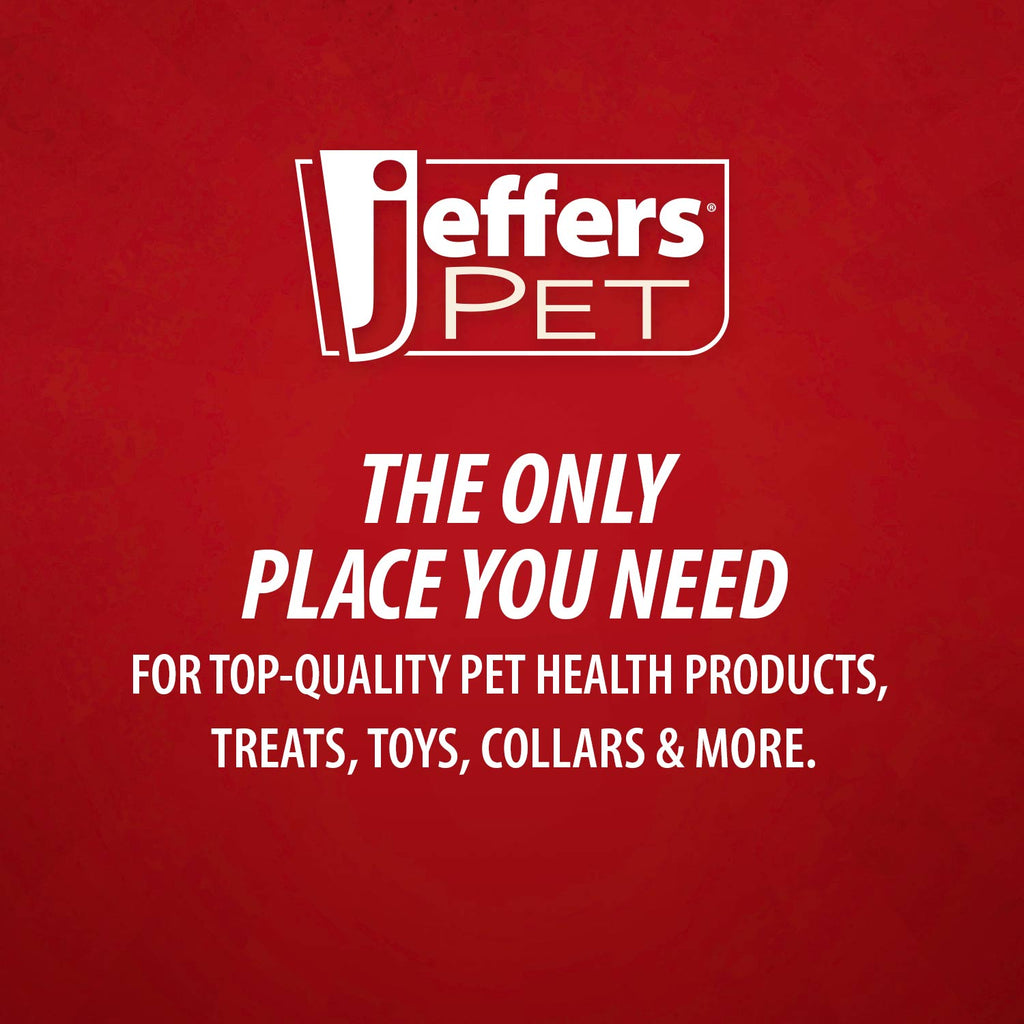 Jeffers Watermelon Natural Rubber Treat Dispensing Dog Dental Chew Toy with Vanilla Scent