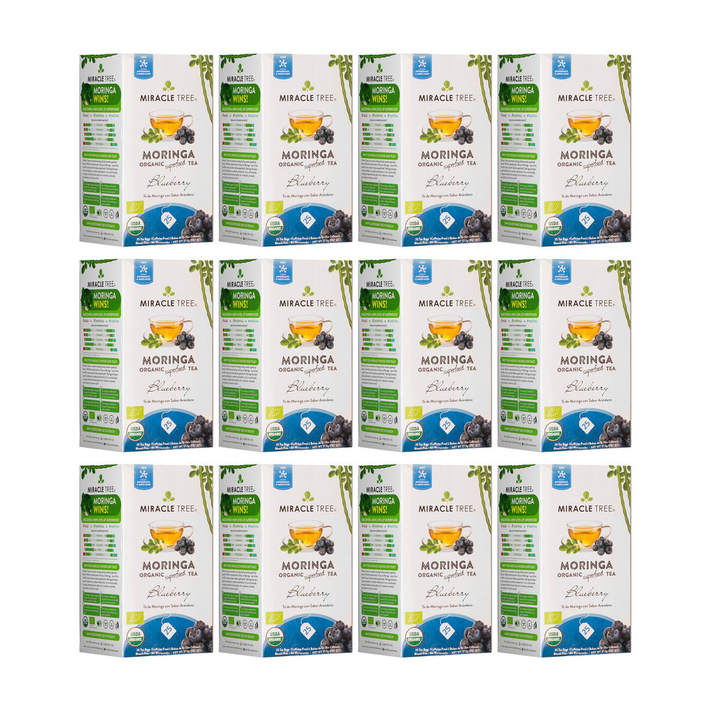 Organic Moringa Tea - Blueberry - Caffeine-Free Herbal Tea