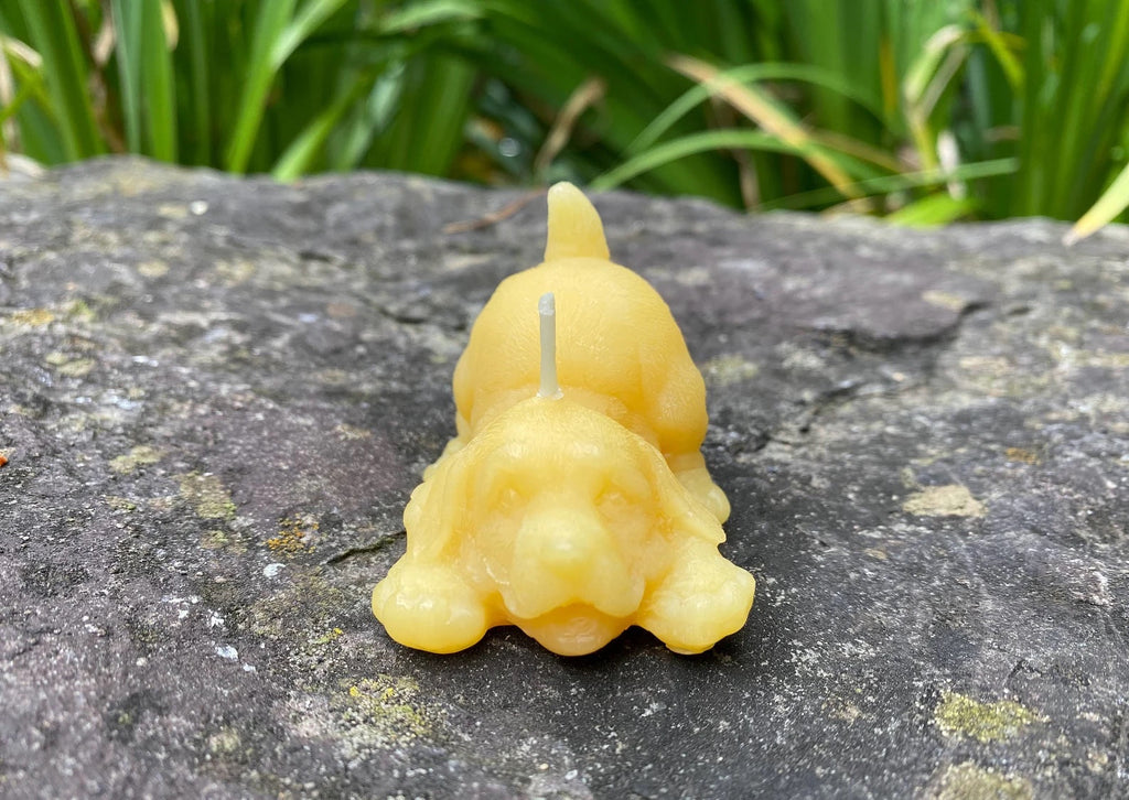 Playing Puppy Beeswax Candle