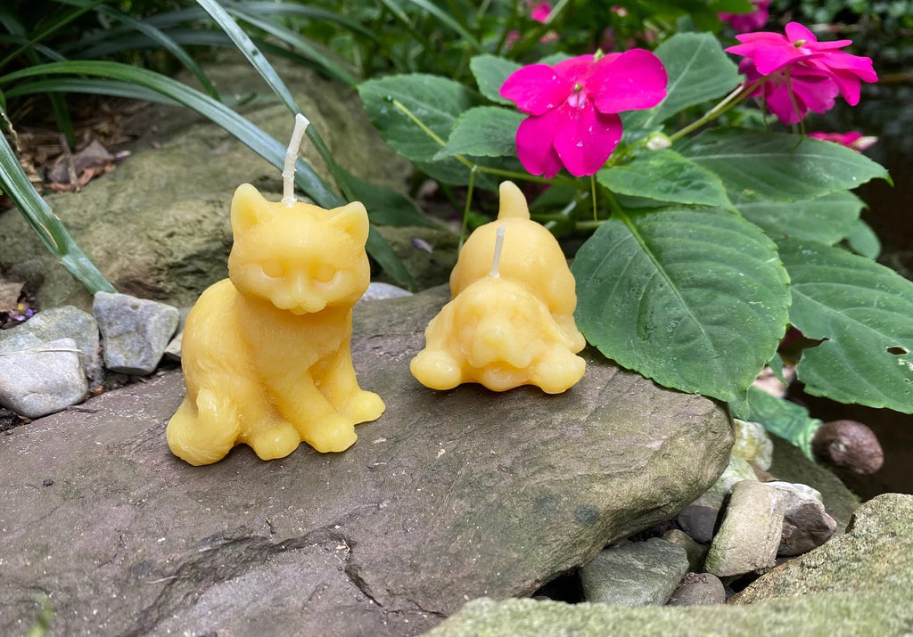Kitten and Puppy Buddies Beeswax Candle Set