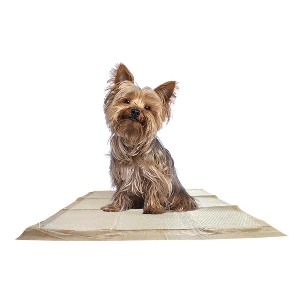 WizSmart Essentials Large Dog Training Pads for Puppies