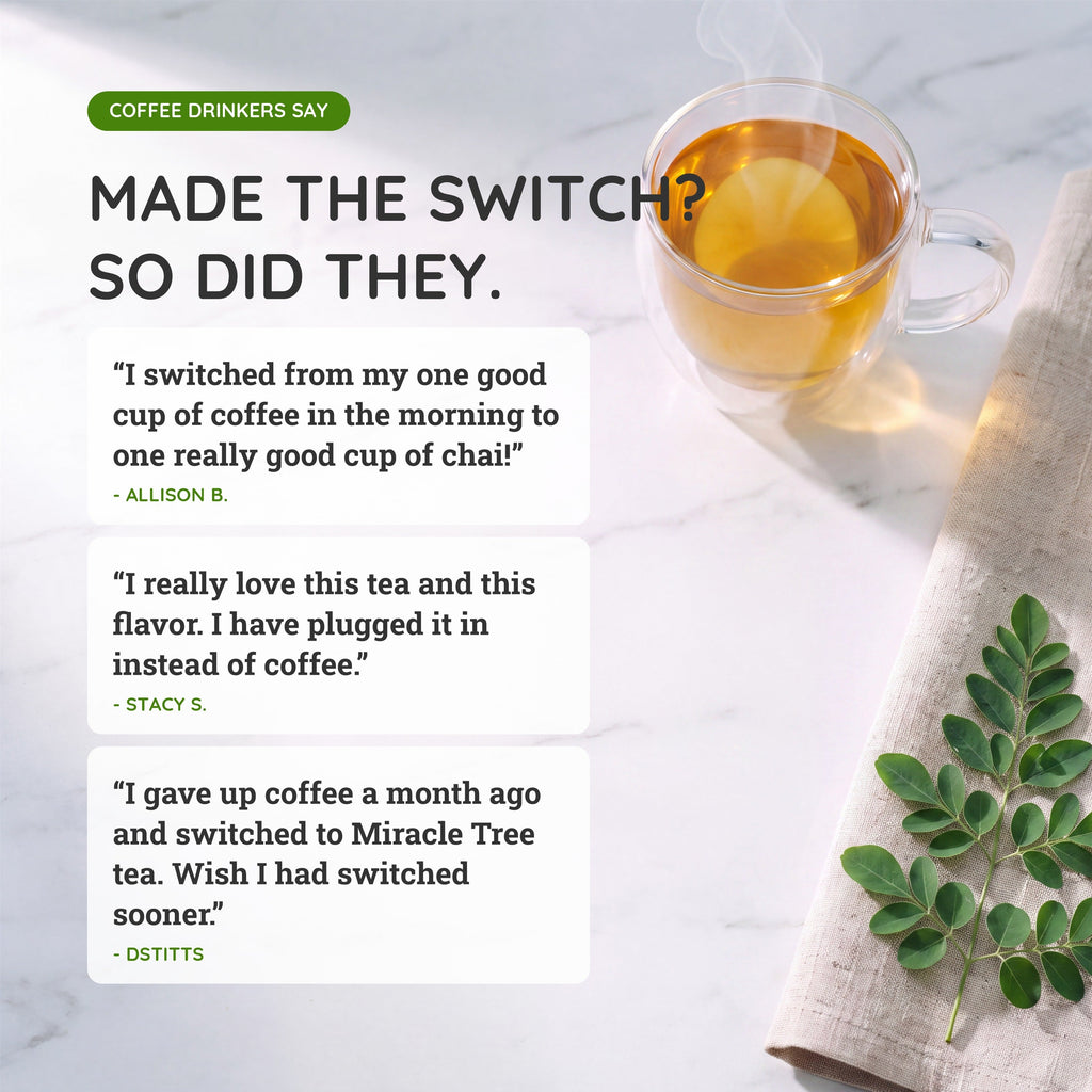 Organic Moringa Energy Tea - Cherry Chamomile - Natural Coffee Alternative